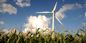 Agra 2013: Landwirtschaft in Leipzig entdecken